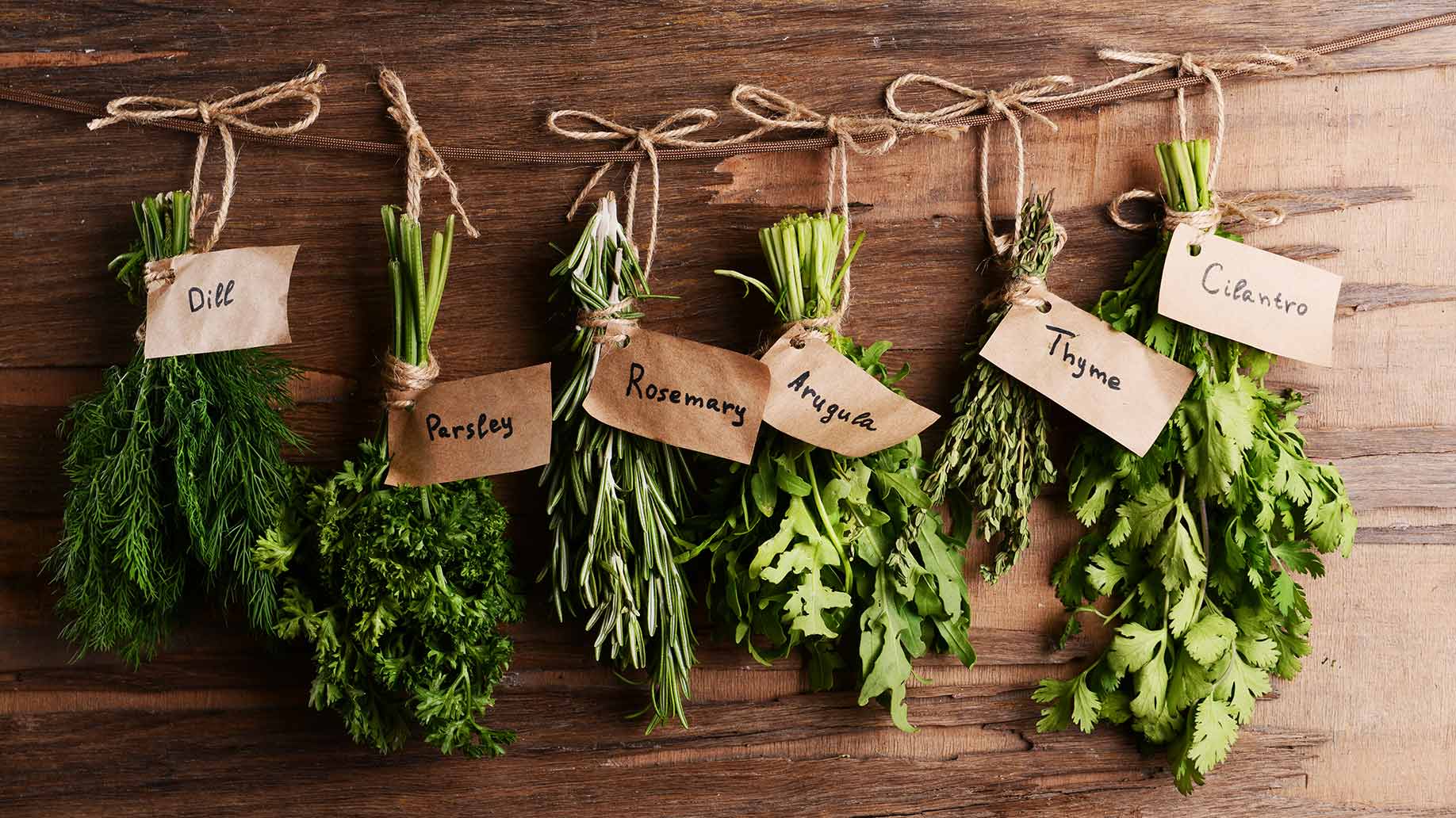 6 Best EasytoGrow Plants for Your Indoor Herb Garden (YearRound)